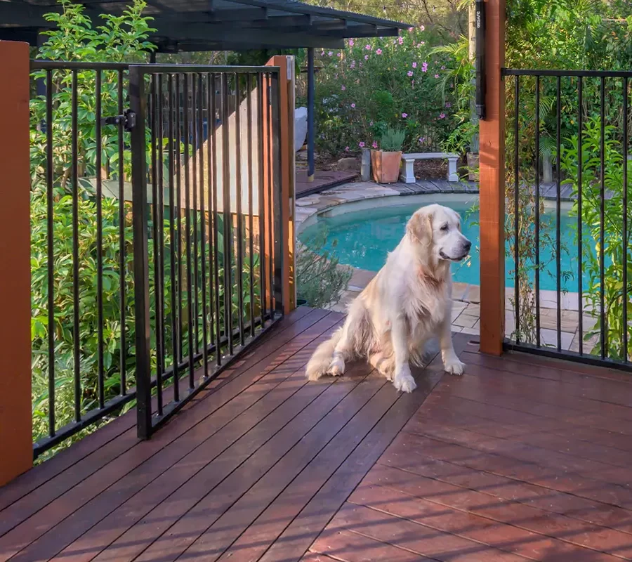 pool-fence-financing-benefit